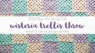 2023 Spring CAL Week 3: Wisteria Trellis Throw