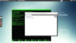 netctl. Настройка профилей и Wi-Fi. Что такое IP-адрес, сетевая маска и префикс.
