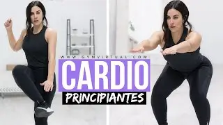 CARDIO SIN IMPACTO | PARA PRINCIPIANTES