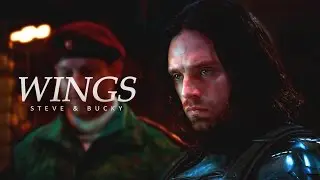 Steve & Bucky [Wings]