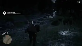 Get perfect cougar pelt with improved arrows - NW of strawberry town - Red dead Redemption 2