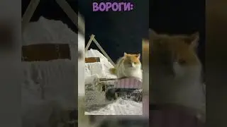 ГЛАДКІ ДУПКИ ВОРОГІВ #украина #україна #рофл #игры #ігри #shatterline #прикол #мемы #шатерлайн #меми