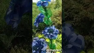 Дождик и цветы из пластиковых бутылок!#ростовыецветы#