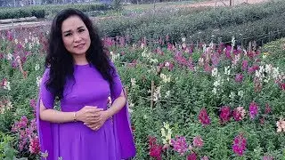 Khúc hát sông quê - NSƯT Minh Phương