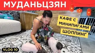 МУДАНЬЦЗЯН | Шоппинг и кафе с минипигами | День 2