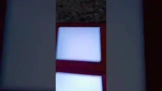 DSI AND 2DS XL