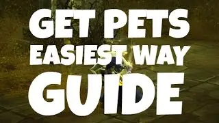 Diablo 3 - HOW TO FIND PETS EASIEST WAY (FOUND BUDDY PET) - PWilhelm