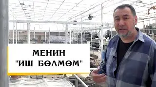 БОШ УБАКТЫМДА ЭМНЕ КЫЛАМ? | МЕНИН 