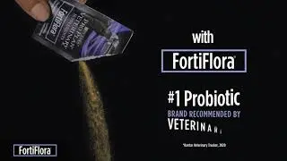 Promote a Strong Immune System in Pets with FortiFlora