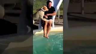 Funny animals #funny #shorts