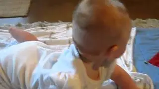 roll roll roll