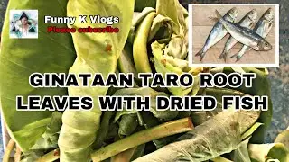 Coconut Taro Root Leaves with Dried Fish.
