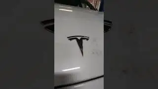 Tesla Model 3. Стук/скрип в передней подвеске!