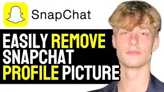 How to Remove Snapchat Profile Picture in 1 Just Minute! (2024)