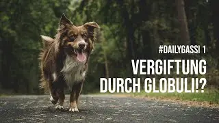 Hund 