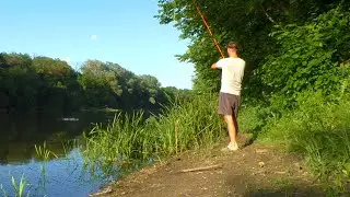 The most SUCCESSFUL overnight fishing trip of 2021. Carp fishing with oilcake. Catfish fishing wi...