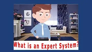What is an Expert System?