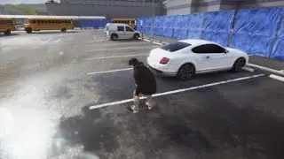 Ollie grind over 2 cars