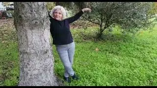 MIEL & "EL PUMA" - Busca tu flor