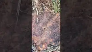 завтра видос выйдет полный!!