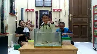 challenge mancing di aquarium dapat satu buah rell mewah