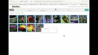 Fotoklok online