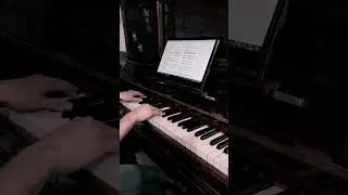 Nunca Quise de Intoxicados || Versión en piano