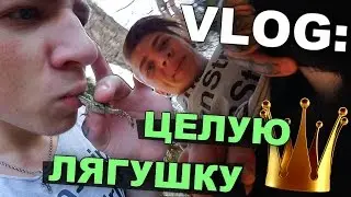 VLOG: Kisses FROG / Andrey Martynenko