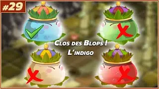 [DOFUS] L'AVENTURE EN DUO - Le Clos des Blops : L'INDIGO !!