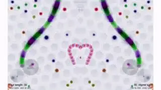 NC2022 plays slither.io in CoNfUsIoN