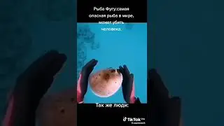 Люди: 
