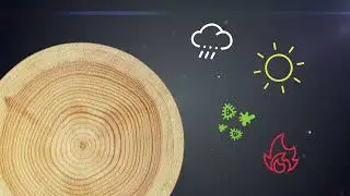 Покрытие Faktura защитно-декоративное для древесины