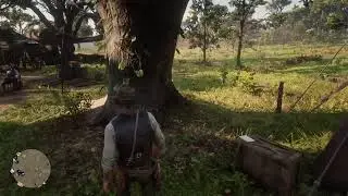 Red dead 2