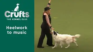 Heelwork to Music Competition - Part Two | Crufts 2023