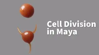 Cell Division in Maya