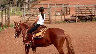 Íniciando as aulas com cavalos | família aprendendo a galopar