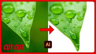 How to cut out an image or object in Adobe Illustrator 2022 for beginners | Clipping Mask AI 2022