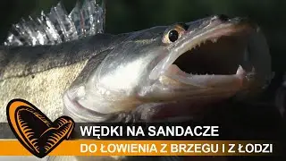 JAKA WĘDKA na SANDACZE do ŁOWIENIA z BRZEGU lub z ŁODZI ?