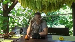 Табак Сильвер Ривер.