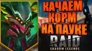 Качаем корм на пауке, Мордекай/Игнат и тд. RAID: Shadow Legends