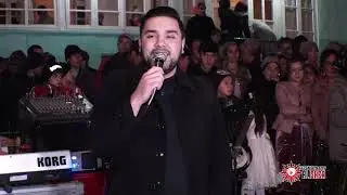 #туй