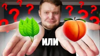 SORREL or PEACH? - Memology with Wangou