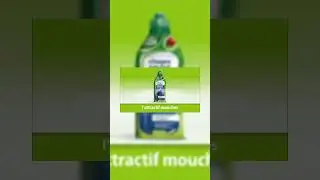 Piège à Mouche Extérieur avec Appât - Attrape et Digère jusqu'à 20 000 Insectes
