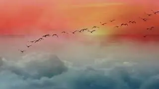 Благодарность. Татьяна Дворянова