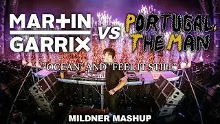 Martin Garrix vs Portugal. The Man - 