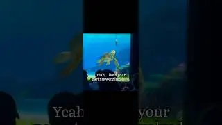 MAKING LOVE | Turtle talk with crush 😂