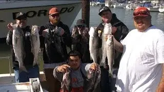 Rockfish, Halibut & Stripers San Francisco Bay