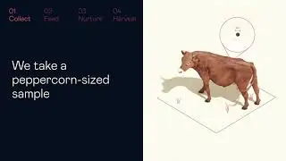 The Mosa Meat Story