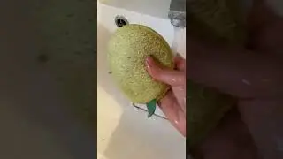 А я все больше влюбляюсь в эти волшебные продукты🔥❤️, а Мадам уехала домой!