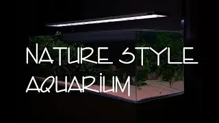 Nature Style Aquarium (Nature Inn Gallery)